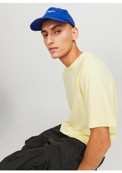 Yuvarlak Yaka Krem Erkek T-Shirt Jjeorganıc Basıc Tee Ss O-Neck Noos modelleri