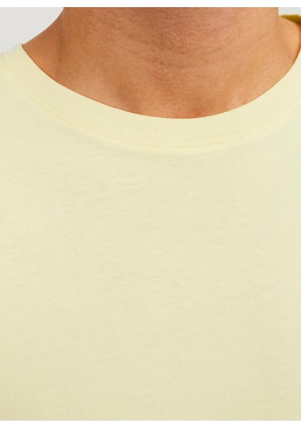 Yuvarlak Yaka Krem Erkek T-Shirt Jjeorganıc Basıc Tee Ss O-Neck Noos fırsatları