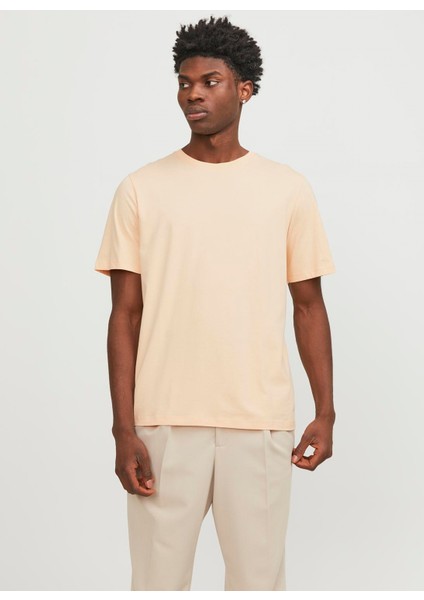 Yuvarlak Yaka Turuncu Erkek T-Shirt Jjeorganıc Basıc Tee Ss O-Neck Noos