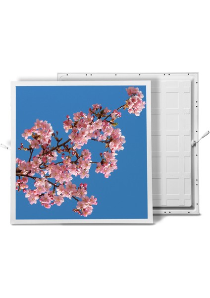 60X60 LED Panel Aydınlatma Armatür Avize Sıva Altı Desenli Tekli 46510290SA