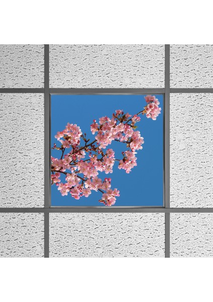 60X60 LED Panel Aydınlatma Armatür Avize Sıva Altı Desenli Tekli 46510290SA