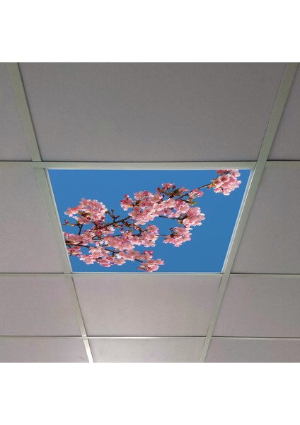 60X60 LED Panel Aydınlatma Armatür Avize Sıva Altı Desenli Tekli 46510290SA