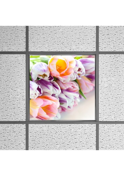 60X60 LED Panel Aydınlatma Armatür Avize Sıva Altı Desenli Tekli 46510160SA
