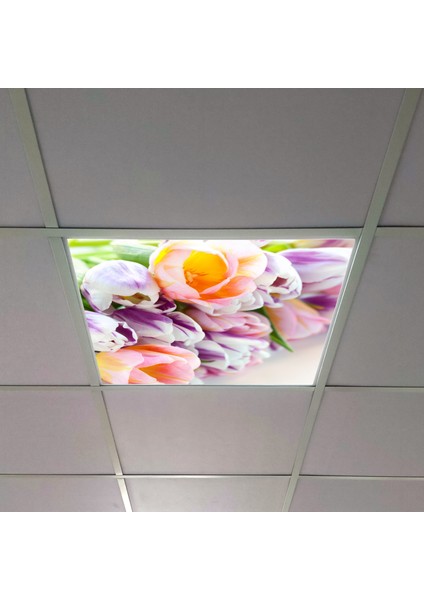 60X60 LED Panel Aydınlatma Armatür Avize Sıva Altı Desenli Tekli 46510160SA