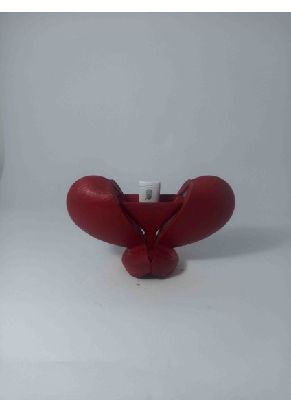 Kalp Şeklinde Yüzük / USB Kutusu