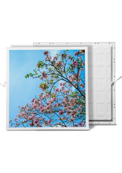 60X60 LED Panel Aydınlatma Armatür Avize Sıva Altı Desenli Tekli 46510168SA