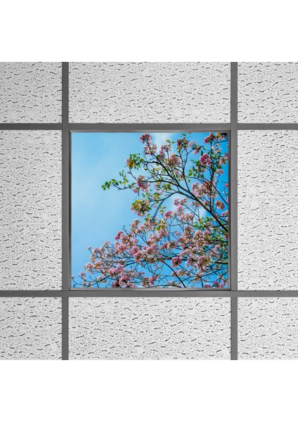 60X60 LED Panel Aydınlatma Armatür Avize Sıva Altı Desenli Tekli 46510168SA