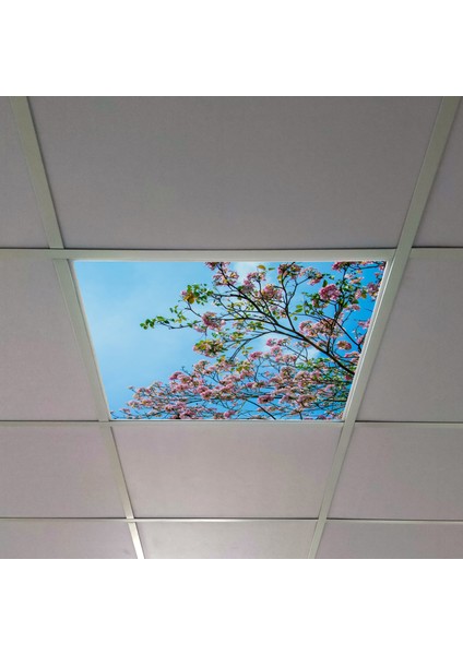 60X60 LED Panel Aydınlatma Armatür Avize Sıva Altı Desenli Tekli 46510168SA