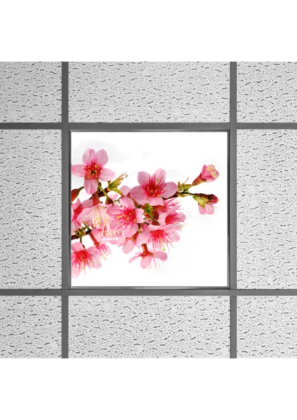 60X60 LED Panel Aydınlatma Armatür Avize Sıva Altı Desenli Tekli 46510170SA
