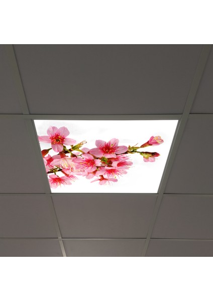 60X60 LED Panel Aydınlatma Armatür Avize Sıva Altı Desenli Tekli 46510170SA