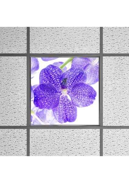 60X60 LED Panel Aydınlatma Armatür Avize Sıva Altı Desenli Tekli 46510247SA