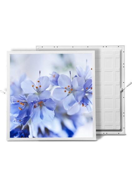 60X60 LED Panel Aydınlatma Armatür Avize Sıva Altı Desenli Tekli 46510252SA