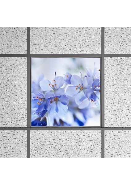 60X60 LED Panel Aydınlatma Armatür Avize Sıva Altı Desenli Tekli 46510252SA