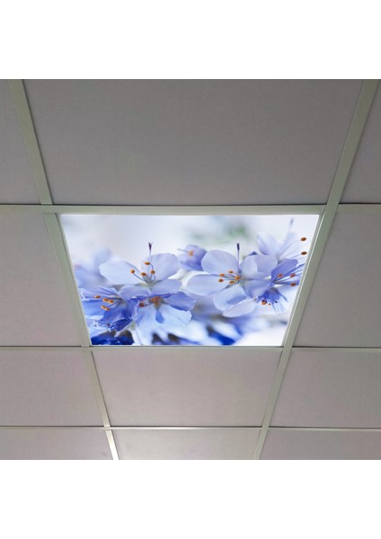 60X60 LED Panel Aydınlatma Armatür Avize Sıva Altı Desenli Tekli 46510252SA