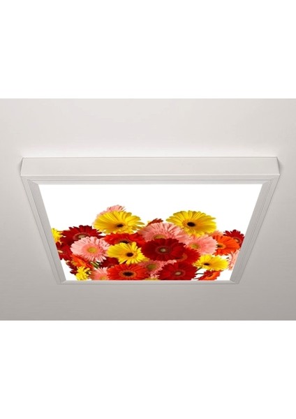 60X60 LED Panel Aydınlatma Armatür Avize Sıva Üstü Desenli Tekli 46510706SU