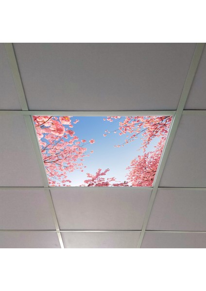 60X60 LED Panel Aydınlatma Armatür Avize Sıva Altı Desenli Tekli 46510289SA