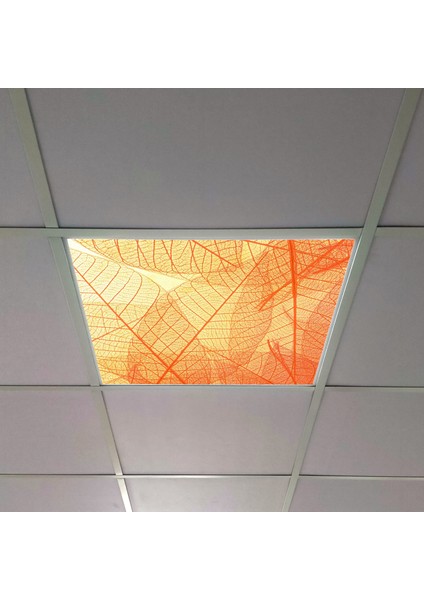 60X60 LED Panel Aydınlatma Armatür Avize Sıva Altı Desenli Tekli 46510327SA
