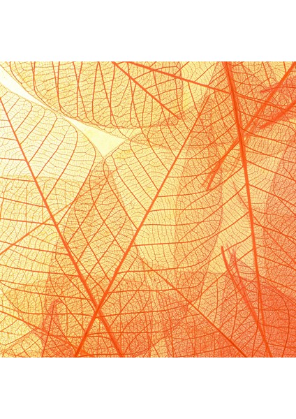 60X60 LED Panel Aydınlatma Armatür Avize Sıva Altı Desenli Tekli 46510327SA indirimleri