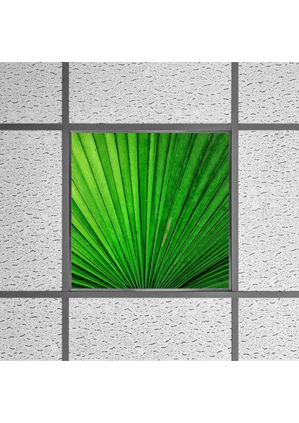 60X60 LED Panel Aydınlatma Armatür Avize Sıva Altı Desenli Tekli 46510333SA