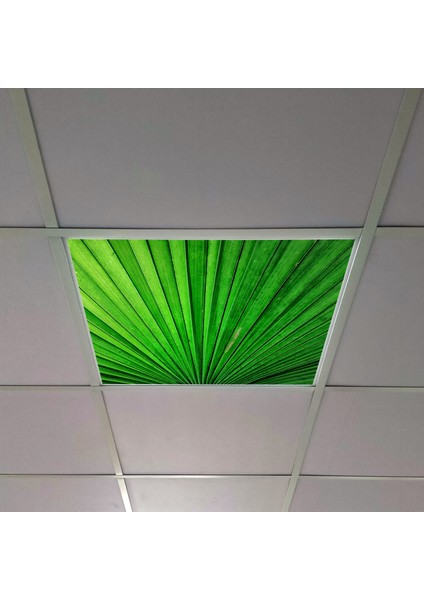 60X60 LED Panel Aydınlatma Armatür Avize Sıva Altı Desenli Tekli 46510333SA