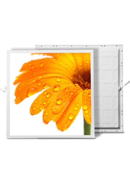 60X60 LED Panel Aydınlatma Armatür Avize Sıva Altı Desenli Tekli 46510326SA
