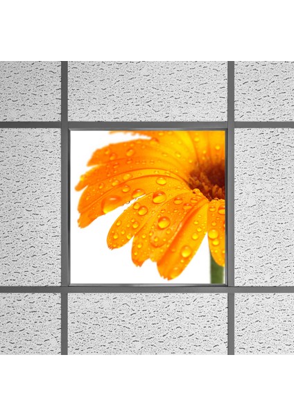 60X60 LED Panel Aydınlatma Armatür Avize Sıva Altı Desenli Tekli 46510326SA