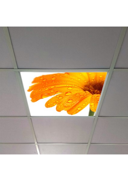 60X60 LED Panel Aydınlatma Armatür Avize Sıva Altı Desenli Tekli 46510326SA
