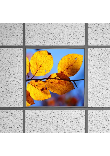60X60 LED Panel Aydınlatma Armatür Avize Sıva Altı Desenli Tekli 46510271SA