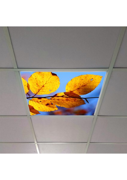 60X60 LED Panel Aydınlatma Armatür Avize Sıva Altı Desenli Tekli 46510271SA