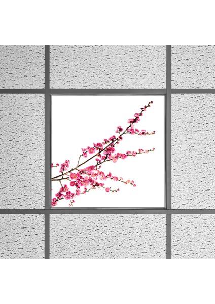 60X60 LED Panel Aydınlatma Armatür Avize Sıva Altı Desenli Tekli 46510161SA