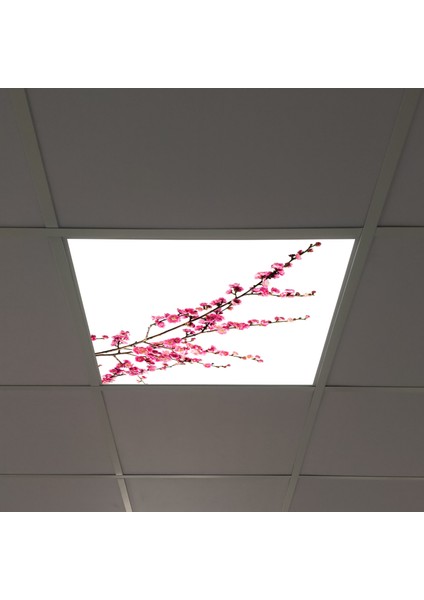 60X60 LED Panel Aydınlatma Armatür Avize Sıva Altı Desenli Tekli 46510161SA