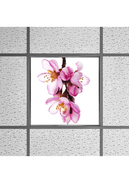 60X60 LED Panel Aydınlatma Armatür Avize Sıva Altı Desenli Tekli 46510169SA