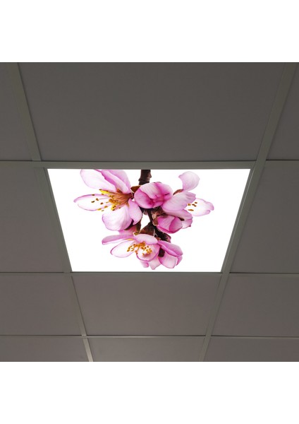 60X60 LED Panel Aydınlatma Armatür Avize Sıva Altı Desenli Tekli 46510169SA