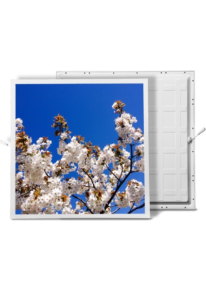 60X60 LED Panel Aydınlatma Armatür Avize Sıva Altı Desenli Tekli 46510206SA