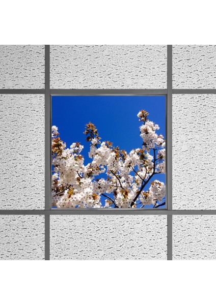 60X60 LED Panel Aydınlatma Armatür Avize Sıva Altı Desenli Tekli 46510206SA