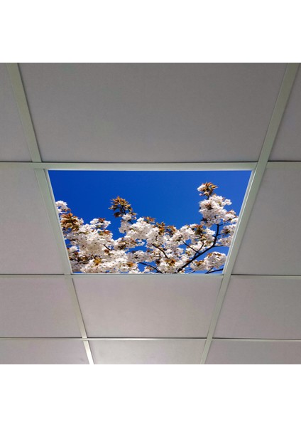 60X60 LED Panel Aydınlatma Armatür Avize Sıva Altı Desenli Tekli 46510206SA