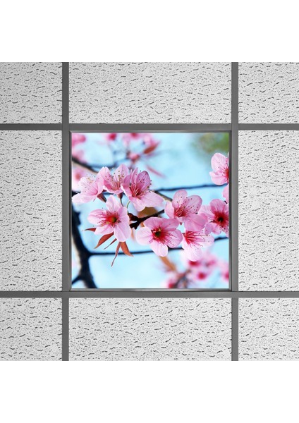 60X60 LED Panel Aydınlatma Armatür Avize Sıva Altı Desenli Tekli 46510282SA