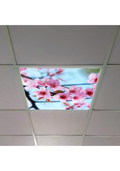 60X60 LED Panel Aydınlatma Armatür Avize Sıva Altı Desenli Tekli 46510282SA