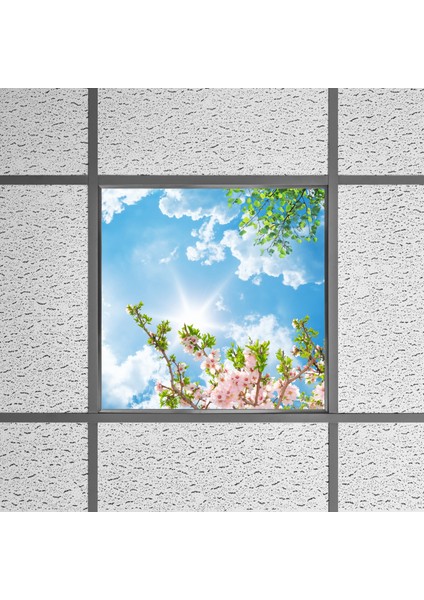 60X60 LED Panel Aydınlatma Armatür Avize Sıva Altı Desenli Tekli 46510302SA