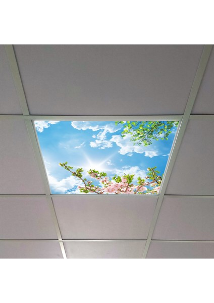 60X60 LED Panel Aydınlatma Armatür Avize Sıva Altı Desenli Tekli 46510302SA