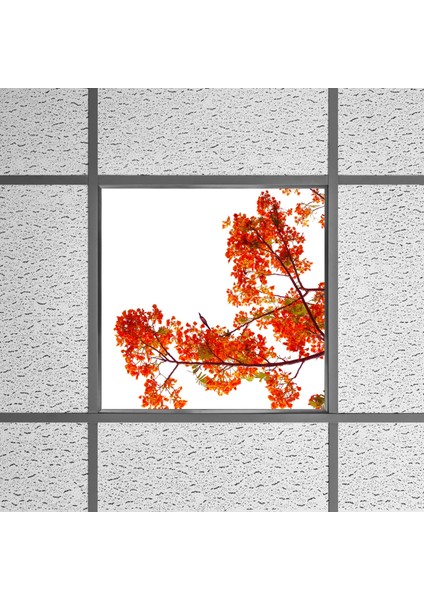 60X60 LED Panel Aydınlatma Armatür Avize Sıva Altı Desenli Tekli 46510219SA fırsatları