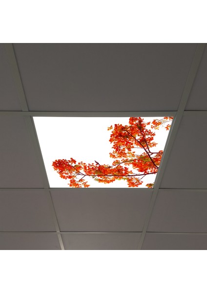 60X60 LED Panel Aydınlatma Armatür Avize Sıva Altı Desenli Tekli 46510219SA