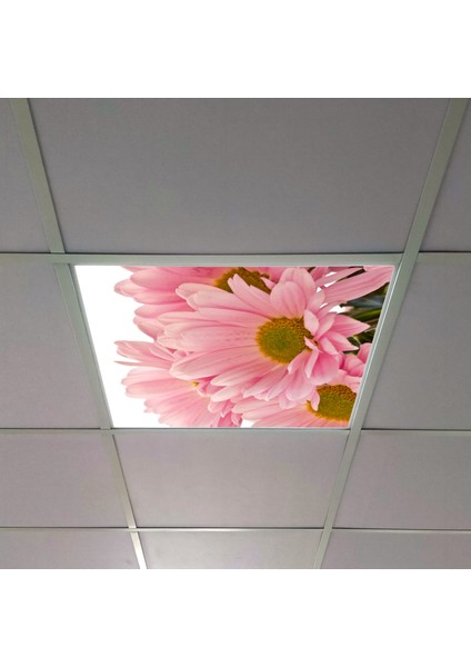 60X60 LED Panel Aydınlatma Armatür Avize Sıva Altı Desenli Tekli 46510270SA
