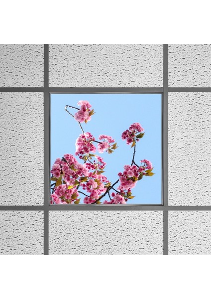 60X60 LED Panel Aydınlatma Armatür Avize Sıva Altı Desenli Tekli 46510298SA