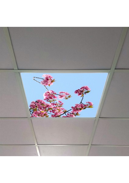 60X60 LED Panel Aydınlatma Armatür Avize Sıva Altı Desenli Tekli 46510298SA