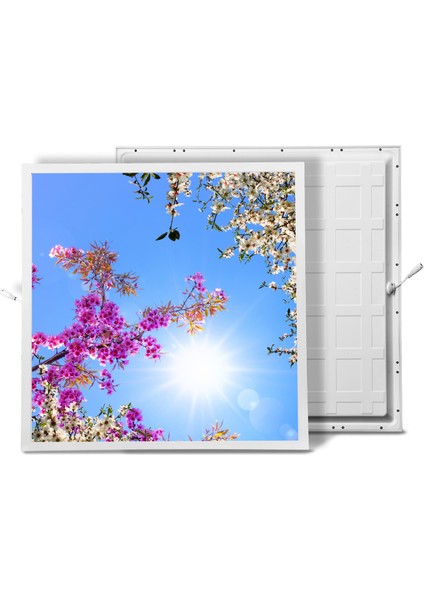 60X60 LED Panel Aydınlatma Armatür Avize Sıva Altı Desenli Tekli 46510312SA fiyatları