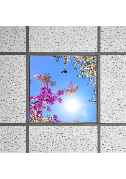 60X60 LED Panel Aydınlatma Armatür Avize Sıva Altı Desenli Tekli 46510312SA fırsatları