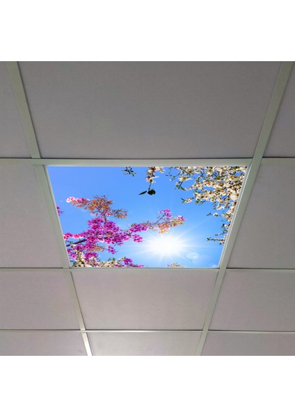 60X60 LED Panel Aydınlatma Armatür Avize Sıva Altı Desenli Tekli 46510312SA