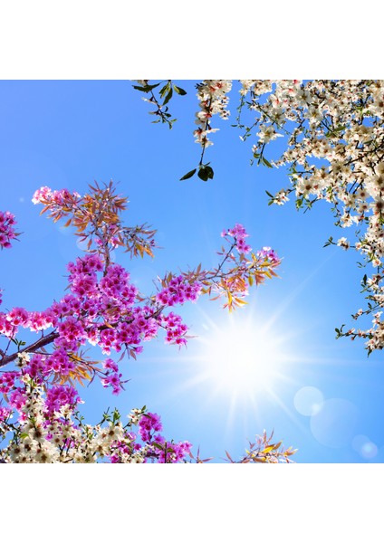 60X60 LED Panel Aydınlatma Armatür Avize Sıva Altı Desenli Tekli 46510312SA indirimleri