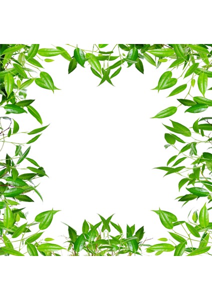 60X60 LED Panel Aydınlatma Armatür Avize Sıva Altı Desenli Tekli 46510329SA